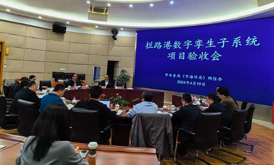 水智未来 孪生领航丨拦路港数字孪生子系统项目顺利验收(图1)